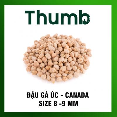Đậu gà Úc Size 8 - 9 mm