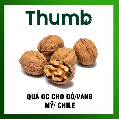 Quả óc chó đỏ/ vàng